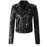 Daphne - Cropped Belted Biker Jacket